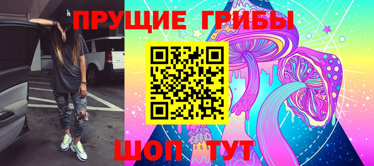 Галлюциногенные грибы прущие грибы Зеленогорск