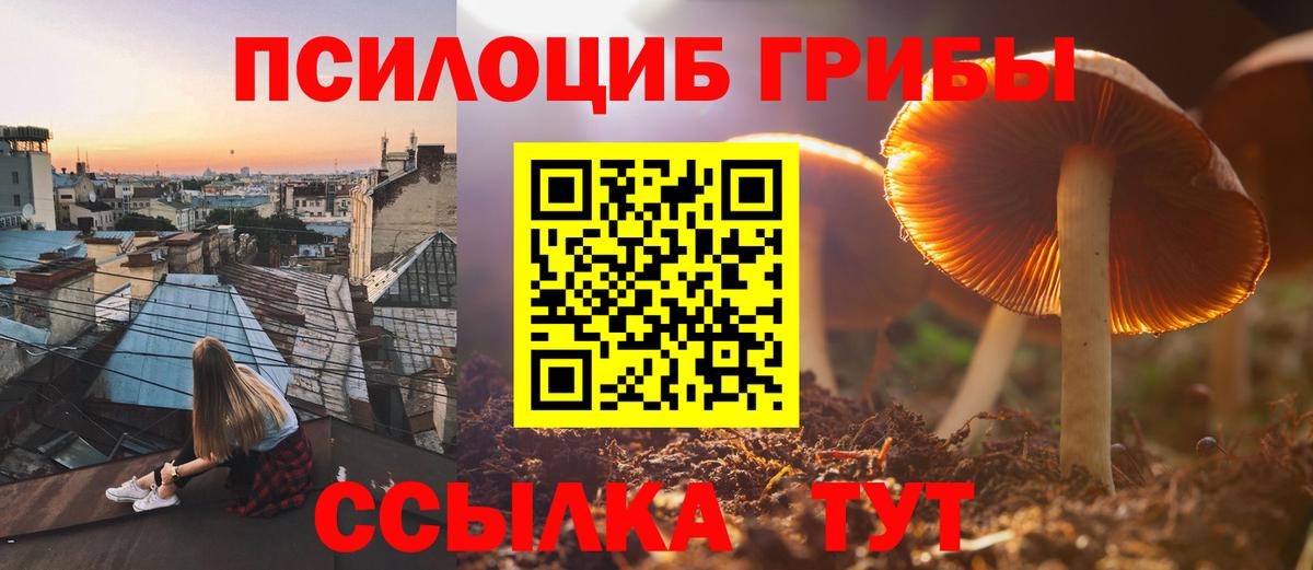 Галлюциногенные грибы Cubensis  Псилоцибиновые грибы GOLDEN TEACHER  Зеленогорск  Вход с VPN 